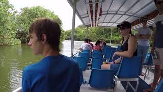 Thank you Lex...Crocodile Express