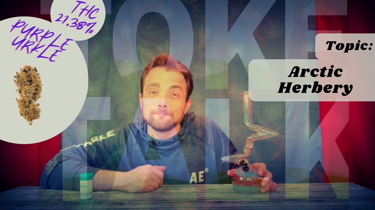 Purple Urkle strain review with talk about Arctic Herbery