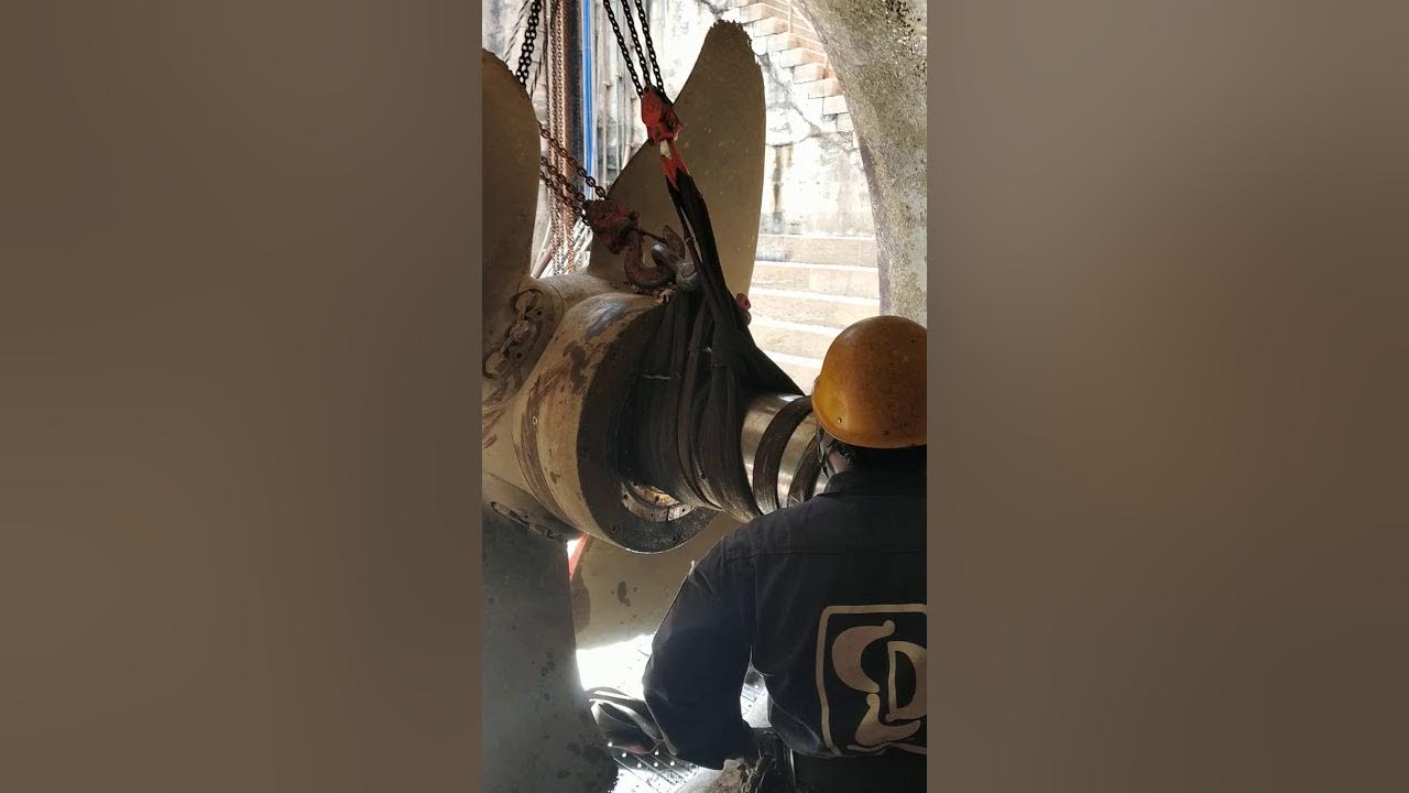Propeller shaft removal process YouTube