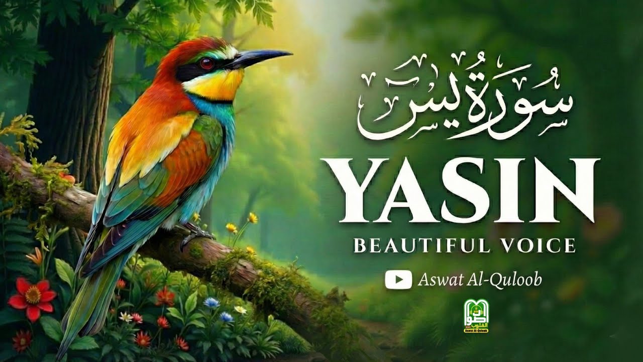 Surah Yaseen (Yasin) | Full Quran Recitation | Heart-Touching & Peaceful Tilawat
