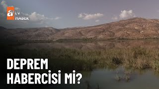 Su Seviyesindeki Değişikliğe Dikkat - Atv Ana Haber 14 Kasım 2023