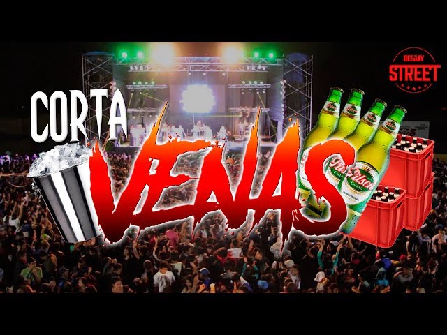 MIX ARMONIA 10 VS AGUA MARINA #003 ✘ DJ STREET (CORTA VENAS) class=