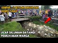 Asli nyata viral tiba tiba muncul wanita cantik berekor ular dikejar warga masuk sungai