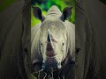 "Assam ke Amazing Facts Part 2! 🌿 | Kaziranga se Majuli Tak"#Assam #Kaziranga #Majuli #AssamFacts