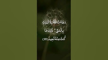 وجاءت سكرة الموت بالحق / الشيخ رعد الكردي / سورة ق