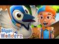 Blippi Learns How To Build A Birds Nest! - Blippi Wonders | Blippi Cartoon | Cartoons For Kids