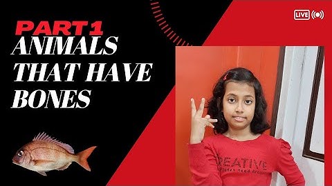 Animals that have Bones (Part I) // Science tutorial by a child //@kritanzworld