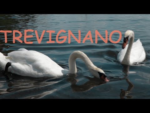 Trevignano - (cinematic Travel Video)