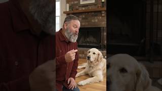 Cow Jokes #ai #aivideo #fypシ #trending #fypシ゚viral #funny #fy #viral #dog #explore #funnyvideo