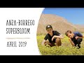 Anza-Borrego Superbloom - April 2019