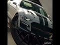 mustang gt
