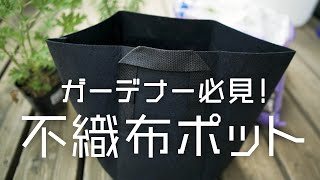 【ガーデナーにオススメ！】不織布ポットの魅力｜庭ツアー｜ハーブ