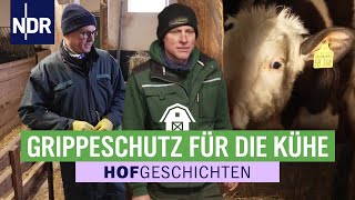 Auf Herz und Nieren: der Tierarzt ist bei Marko Ladewig zu Besuch | Hofgeschichten (362) | NDR