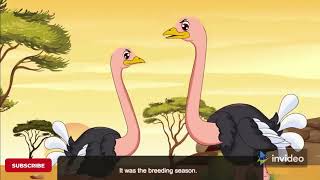 Animated Story Grandpa Fights An Ostrich