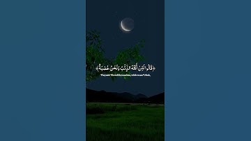 قال إني ليحزنني الشيخ سيد سعيد #قرآنك تلاوة خاشعة مؤثرة من سورة يوسف