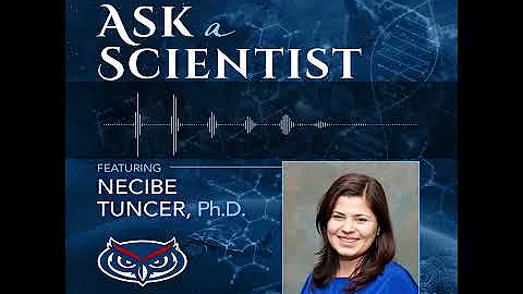 Mathematical Models and Understanding Infectious Disease with Dr. Necibe Tuncer