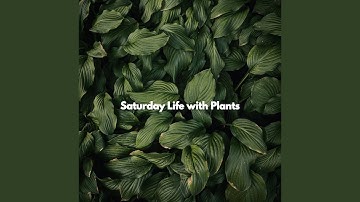 Fun Backdrops for Jazzy Weekends