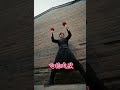 Martial arts heroes can leap over rooftops and scale walls #unbelievably #kungfu #funny