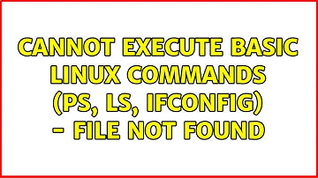 Cannot execute basic linux commands (ps, ls, ifconfig) - File not found (3 Solutions!!)
