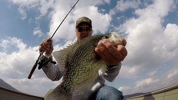 Pre-Spawn Crappie Fishing With The Ultimate Crappie Jig Head!