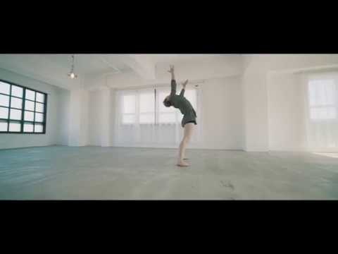 p!nk - wild hearts can p!nk - wild hearts can