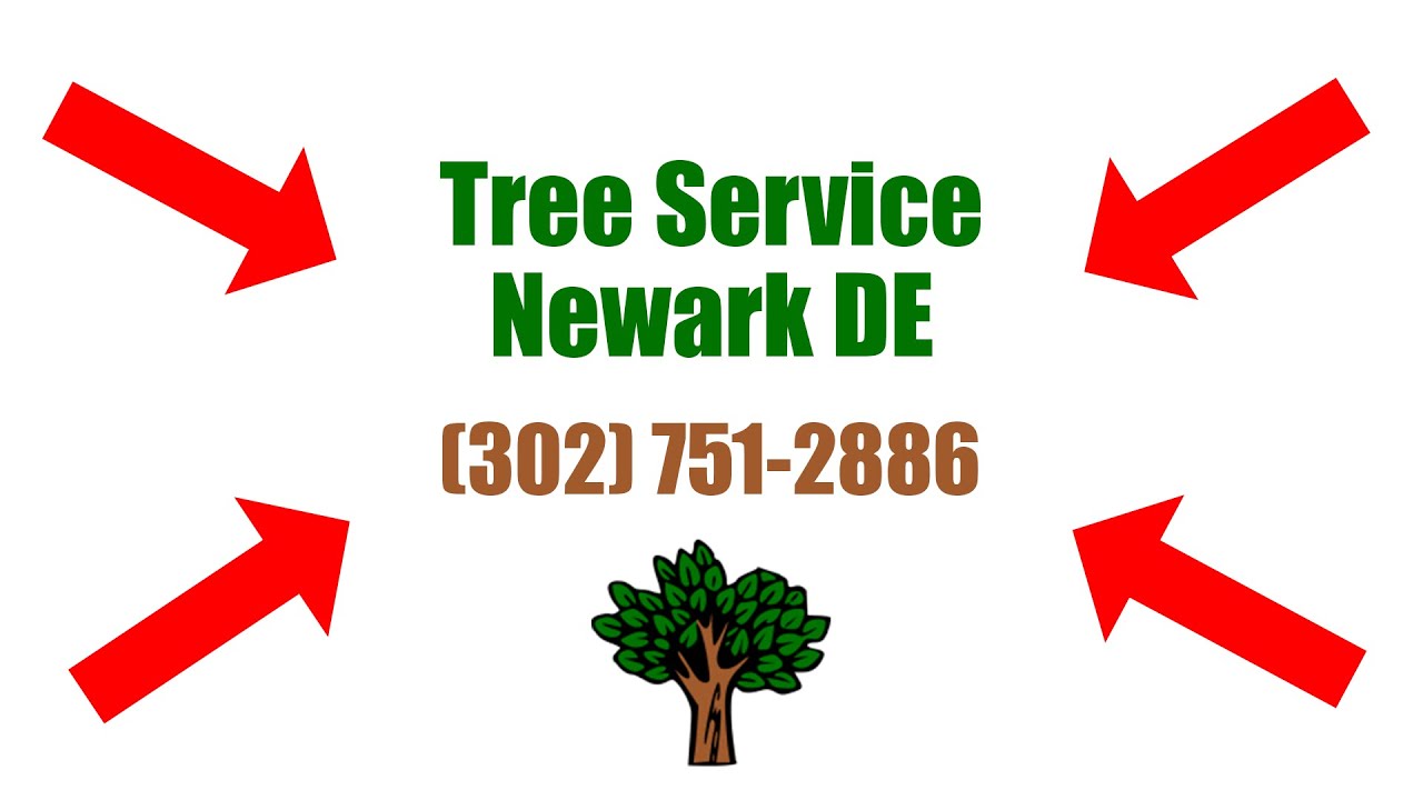 Newark De Tree Service 302 751 2886 Tree Removal Services