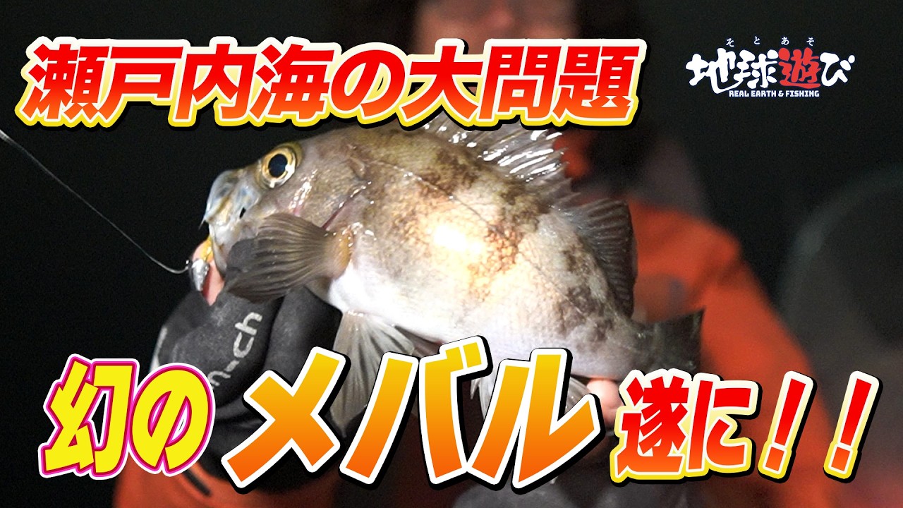 Spring Tradition] Rockfish become a phantom!? The conclusion is