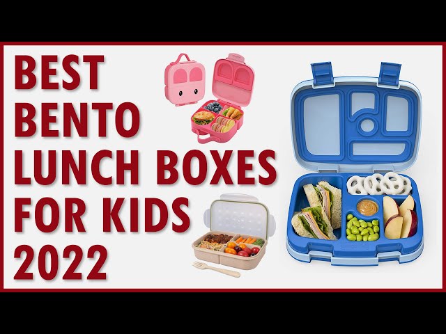 The Best Lunch Box for Kids 2022