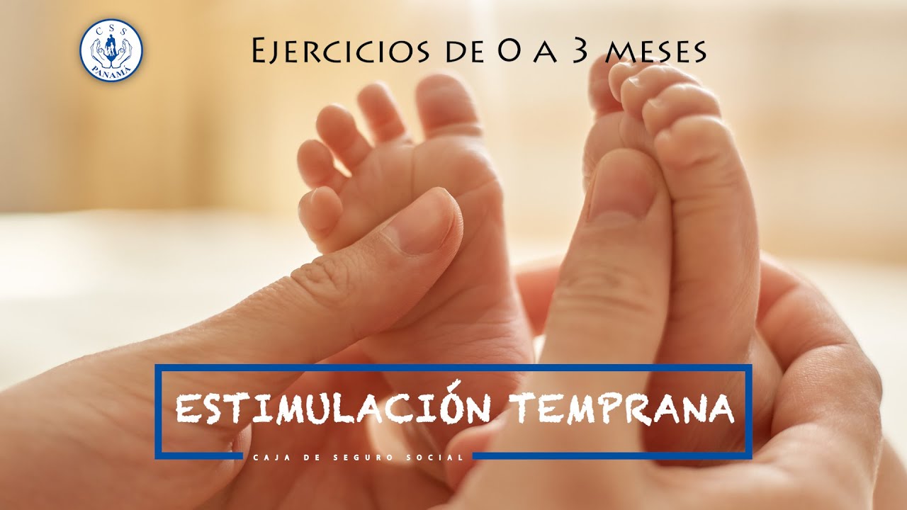 Estimulación Temprana de 0 a 3 meses 