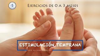 Estimulación Temprana de 0 a 3 meses