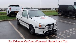 fiesta puma