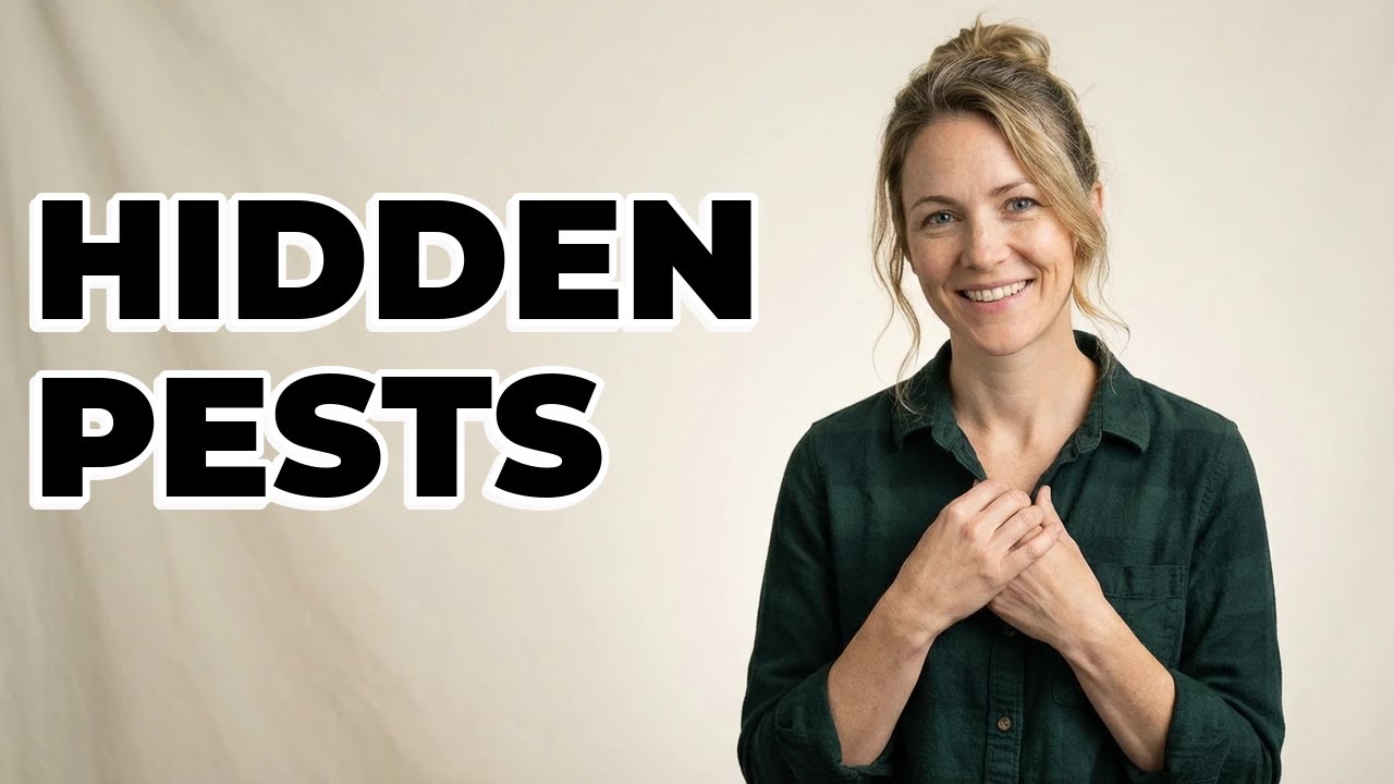 Why Check Undersides Of Leaves For Pests?