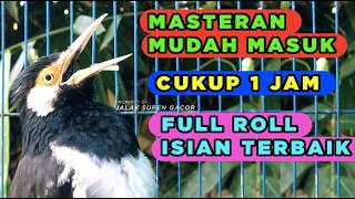 Masteran Jalak Suren Gacor Full Isian Tembakan Mewah Cililin Suara Unik Kreasi juara