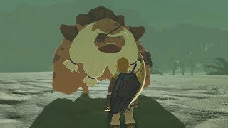 What Happens When You Talk To Bludo In Gerudo Desert? - Zelda Breath Of The Wild