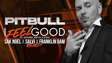 Pitbull - I Feel Good Sak Noel x Salvi x Franklin Dam Remix (Visualizer)