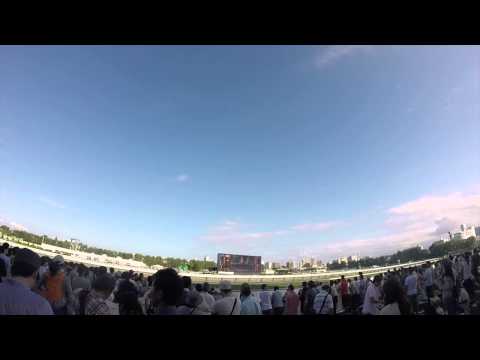 【札幌記念2015】競馬場で見る本馬場入場
