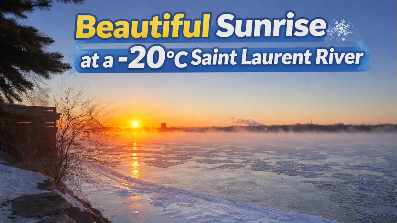 Driving Along the Saint Laurent River🌅Sunrise from Blvd Shevchenko to Blvd LaSalle | Montreal Winter
