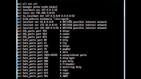 squid proxy | Dwi Sandi Prasetyo | Cyber Media