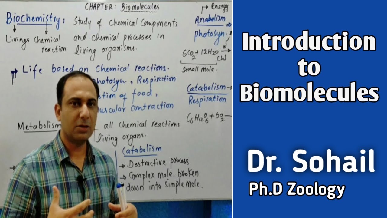 Bio-molecules/What is Biochemistry/Metabolism (Anabolism & Catabolism)