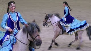Башкирская порода лошадей Конная выставка ИППОсфера /Выставка лошадей HIPPOsphere /Башкирская лошадь Башкирская порода лошадей Конная выставка ИППОсфера /Выставка лошадей HIPPOsphere /Башкирская лошадь