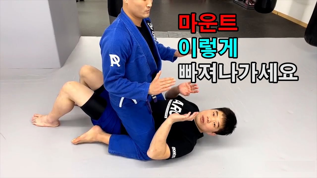 마운트 포지션 탈출법