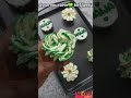 Creating Edible Art: Deliciously Stunning Cupcakes