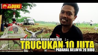 MENGGIURKAN!! Harga Prestasi TRUCUKAN Bisa Mencapai 10 JUTA!! Padahal Belinya 20 Ribu