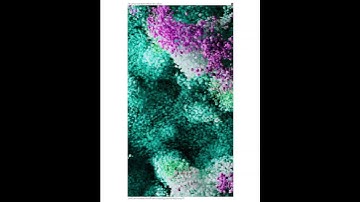 [2025.07.11][particlegroup.4]