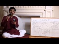 Ekadasi  importance scientifique et spirituelle par hg amarendra das  18022016