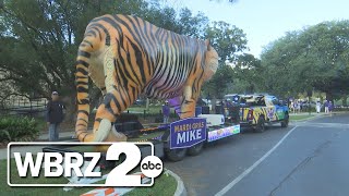 Tailgate on 2 LSU vs Ark & SU vs TX SU