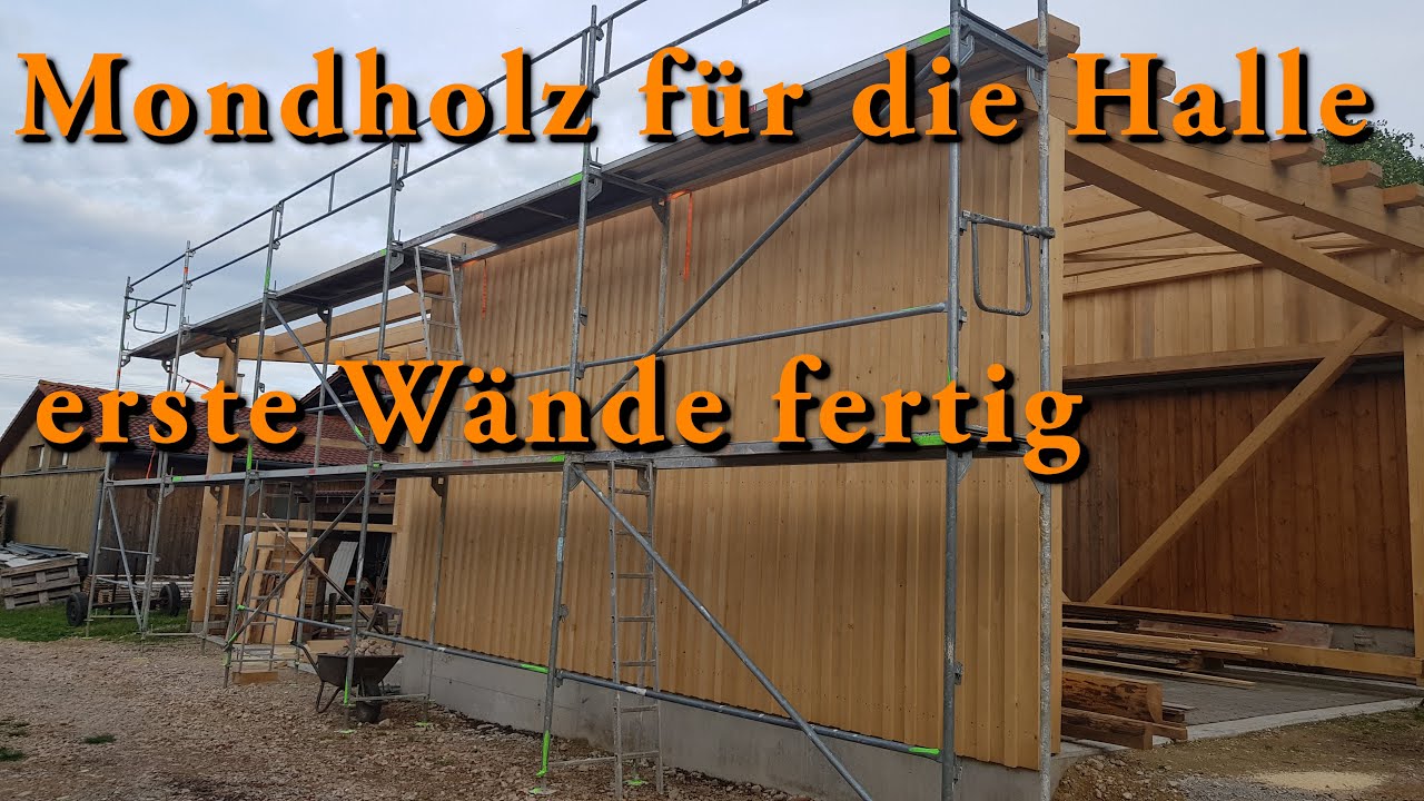 Mondholz für die Halle - die ersten Wände fertig