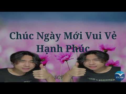 Video: 4 cách để trồng cỏ từ hạt giống