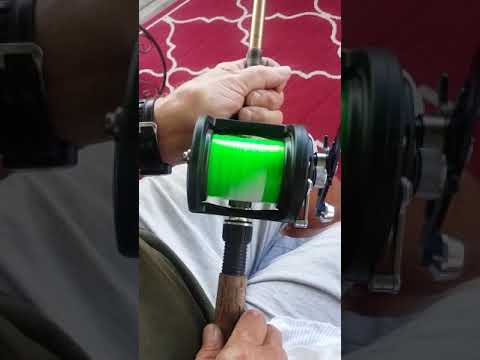 Daiwa 250 h