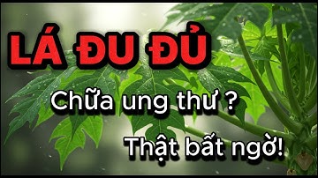Lá Đu Đủ Chữa Được Ung Thư? Sự Thật Bất Ngờ!